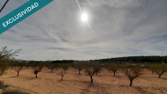 Foto1