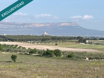 Foto6