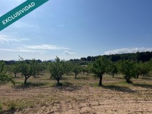 Foto3