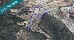 Foto7