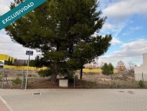 Foto4