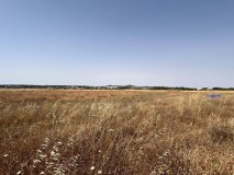Foto2