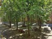Foto26