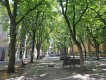 Foto1