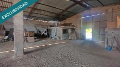 Foto10