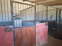 Foto46