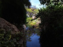 Foto6
