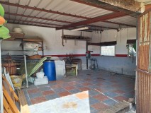 Foto51