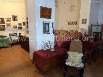 Foto19