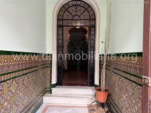 Foto8