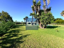 Foto41