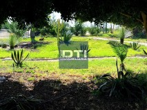 Foto13