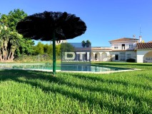 Foto45
