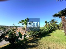 Foto11