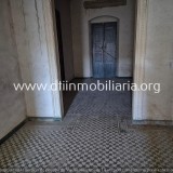 Foto42