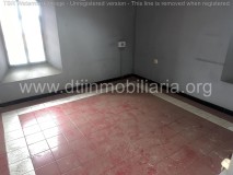 Foto9