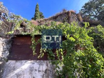 Foto11