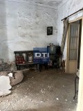 Foto10