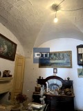 Foto15