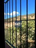 Foto34