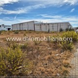 Foto6