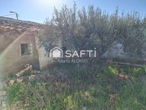 Foto6