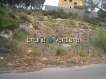 Foto11