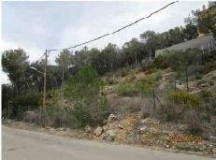 Foto2