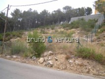 Foto6