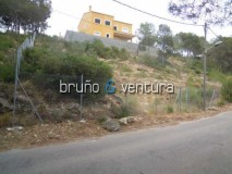 Foto8