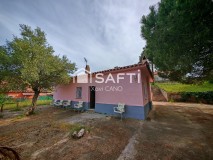 Foto1