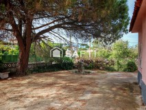 Foto33
