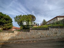 Foto39