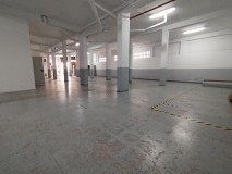 Foto10