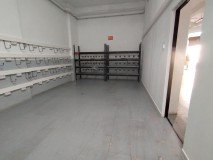Foto12
