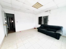 Foto8