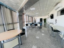 Foto8