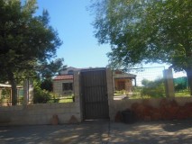 Foto2