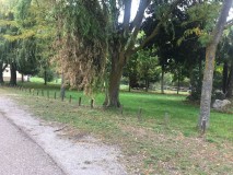 Foto7