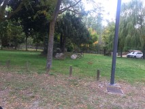 Foto8