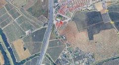 Foto5
