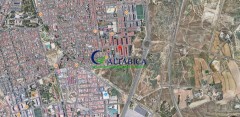 Foto6