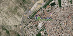 Foto4