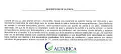 Foto4