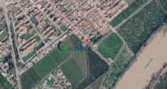 Foto5