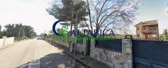Foto4