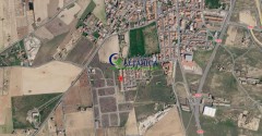 Foto5