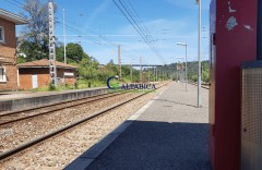 Foto5