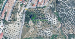 Foto5
