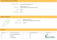 Foto5